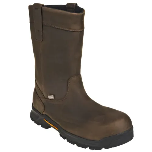 Danner Boots Men's Trakwelt WP SR Work (13241)