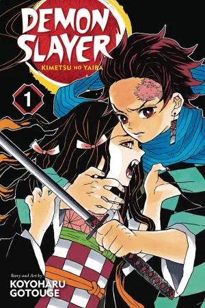 Demon Slayer - Kimetsu No Yaiba Vol 01